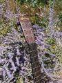 1933 CF Martin 0 17