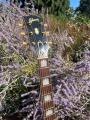 1956 Gibson J 200 Natural