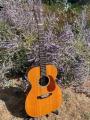 1956 C F Martin 000 21