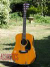 1968 Martin Brazilian D-28 