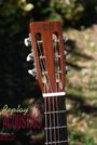 1964 C F Martin 00 21 (sold)