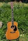 1976 CF Martin D 41 