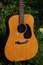1967 C F Martin D 21 (sold)