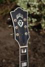 1996 Guild JF-55NT (sold)