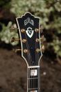 1975 Guild F-50R (sold)