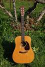 1967 C F Martin D 21 (sold)
