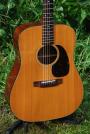 1966 CF Martin D 21 (sold)