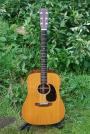 1966 CF Martin D 21 (sold)