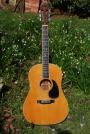 1973 CF Martin D 35 slothead